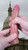 EFFWELL State Senator Dildo, 5" Insertable Length x 4.2" Girth (1.35" Diameter), Extra Thin Ultra Realistic Platinum Cured Dual Density Silicone with Balls & Strong Suction Cup