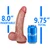 EFFWELL Flight Instructor Dildo, 8" Insertable Length x 7" Girth (2.3" Diameter), Ultra Realistic Platinum Cured Dual Density Silicone with Movable Balls & Strong Suction Cup