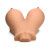 Mistress Breasts & Pussy Masturbator, Medium Skin Mistress Breasts & Pussy Masturbator, Medium Skin