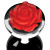 Booty Sparks Red Rose Anal Plug, Medium