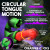 Creature Cocks Tongue Lasher Silicone Vibrator Creature Cocks Tongue Lasher Silicone Vibrator