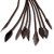 Prowler RED Brown Leather Flogger Prowler RED Brown Leather Flogger