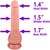 The Neighbor by FUKENA - Realistic Dual Density Silicone Dildo with Balls & Suction Cup, 6.5 Inch Insertable, 1.7 Inch Max Width, Light Skin