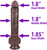 The Trucker by FUKENA - Realistic Dual Density Silicone Dildo, 8.75 Inch Insertable, 1.85 Inch Max Width, Dark Skin
