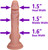 The Mailman by FUKENA - Realistic Dual Density Silicone Dildo, 6.5 Inch Insertable, 1.6 Inch Max Width, Light Skin