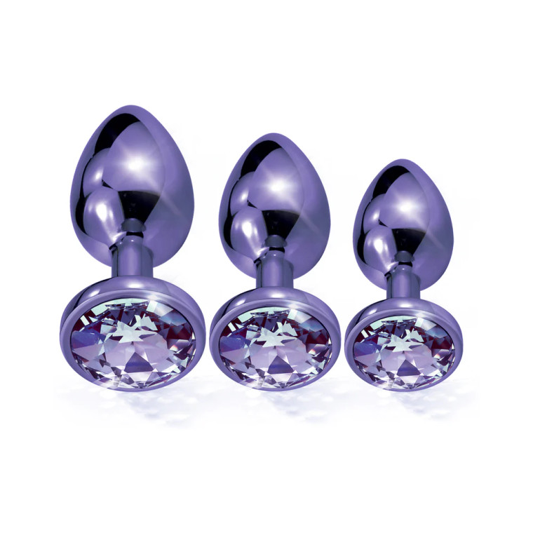 Nixie Metal Butt Plug Trainer Set, Purple Metallic