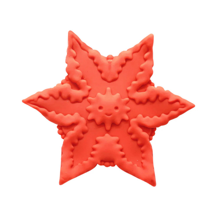 Cute Little Fuckers Starsi, Coral