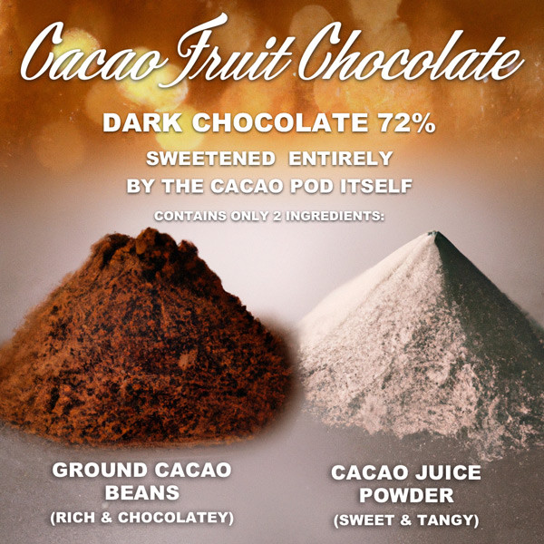 Cacao Fruit Chocolate Bars Set of 4 Bars Shop Today!