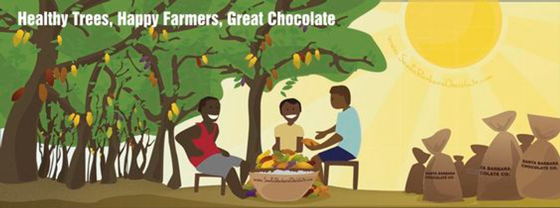 Cacao and Cocoa Bean Flavors: What Makes Each Unique?