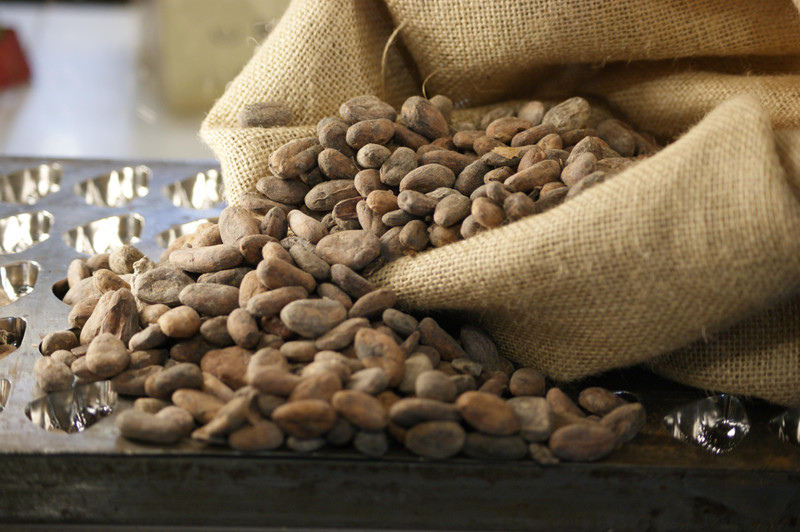 Grenada Chocolate and Chocolate Tourism