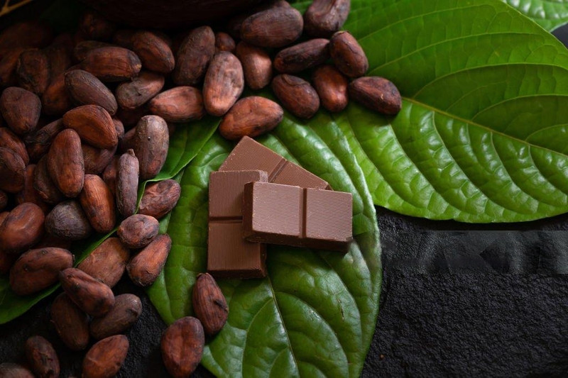 Is Dark Chocolate Good for Your Skin? Exploring Cocoa-Based Skincare Benefits Is Dark Chocolate Good for Your Skin? Exploring Cocoa-Based Skincare Benefits