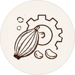 30+ Years of Chocolate Craftsmanship