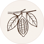 Authentic Cacao