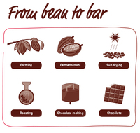 Thoughts on Chocolate Making by Our Chocolatier