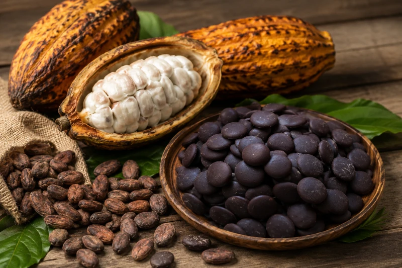 72% Cacao Dark Chocolate Benefits: Why Is It a Favorite Among Health-Conscious Consumers
