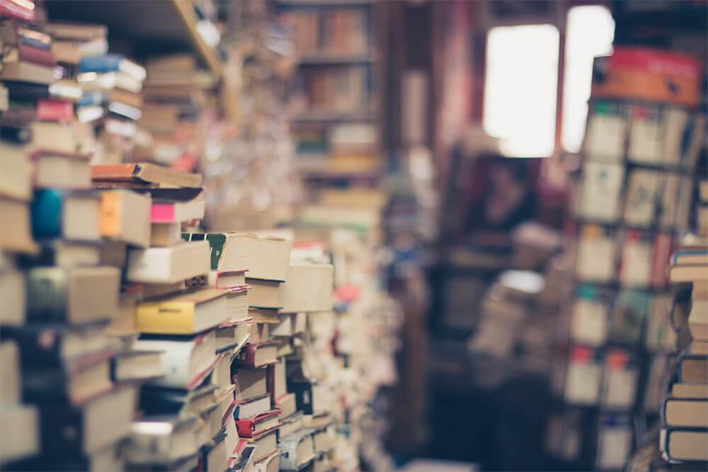 Recommended Books on Cacao and Chocolate