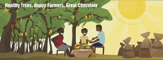 Cacao and Cocoa Bean Flavors: What Makes Each Unique?