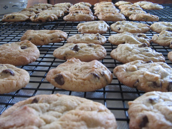 Clinton Chocolate Chip Cookies and Trump's Star Cookies Which One Would You Eat?