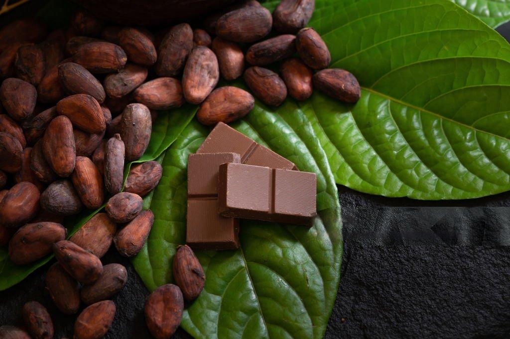 Is Dark Chocolate Good for Your Skin? Exploring Cocoa-Based Skincare Benefits