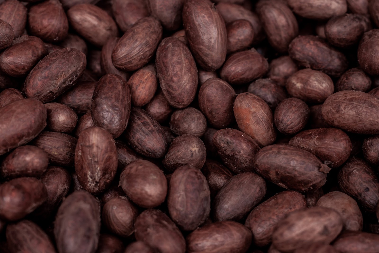 What to Use Cocoa Beans For, and Why?