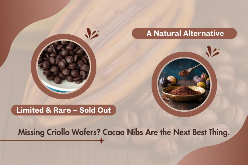 Why Our 100% Criollo Chocolate Chips Sold Out Fast — and What to Try While You Wait