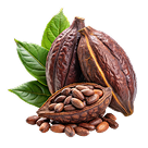 Purveyors of Exotic Chocolate Since 1992