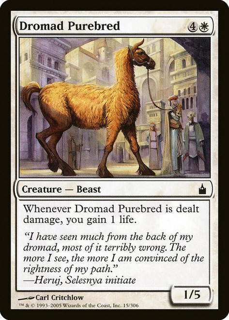 Dromad Purebred (RAV) (Foil) (#15)