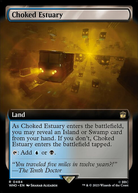 Choked Estuary (WHO) (Extended Art) (#484)