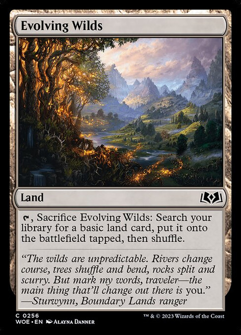 Evolving Wilds (WOE) (Foil) (#256)