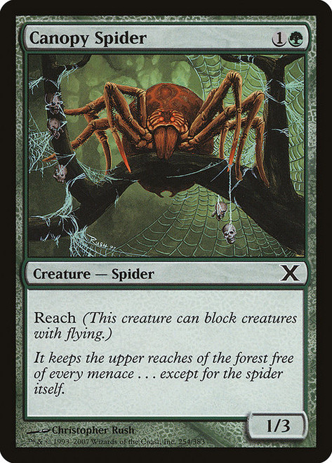 Canopy Spider (10E) (#254)