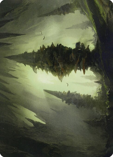 Forest // Forest (AAFR) (Foil) (Borderless) (#55)