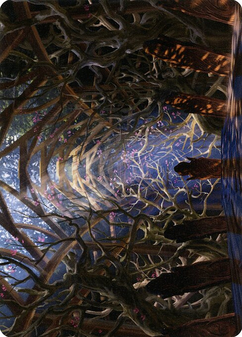 Skemfar Elderhall // Skemfar Elderhall (AKHM) (Borderless) (#73)