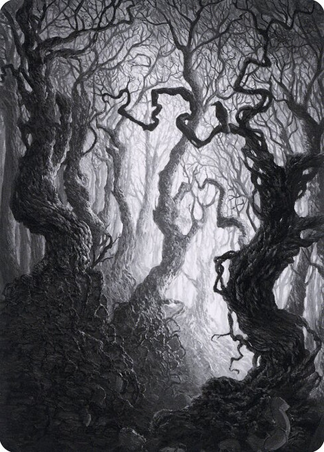 Forest // Forest (AMID) (Foil) (Borderless) (#80)