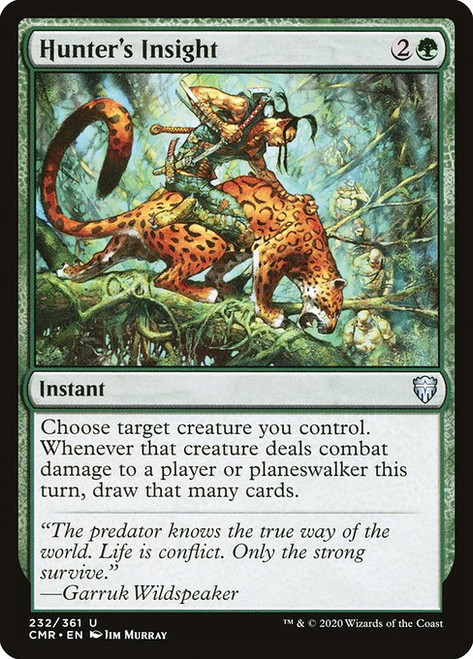 Hunter's Insight (CMR) (Foil) (#232)