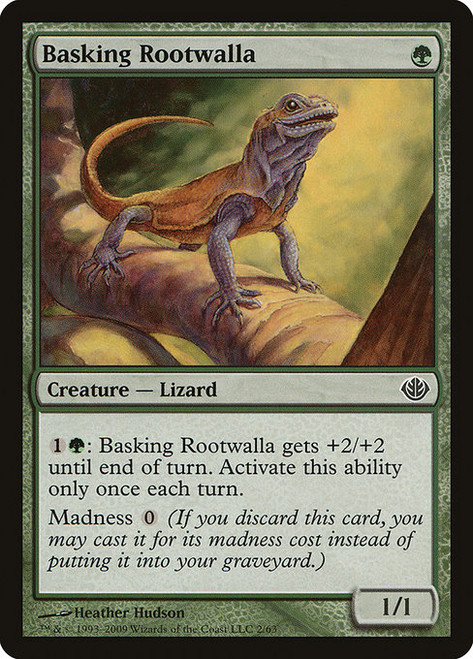 Basking Rootwalla (DDD) (#2)