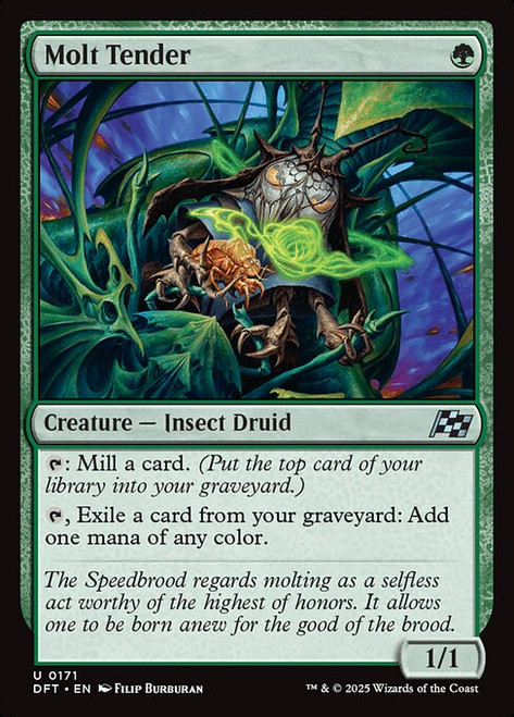 Molt Tender (DFT) (Foil) (#171)