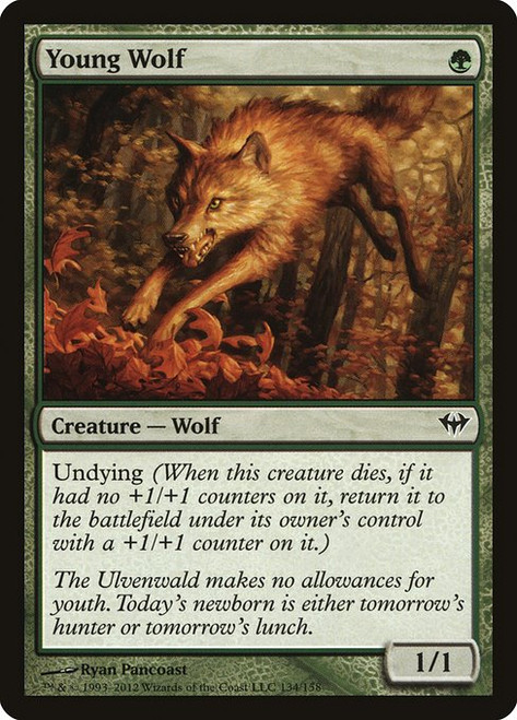 Young Wolf (DKA) (Foil) (#134)