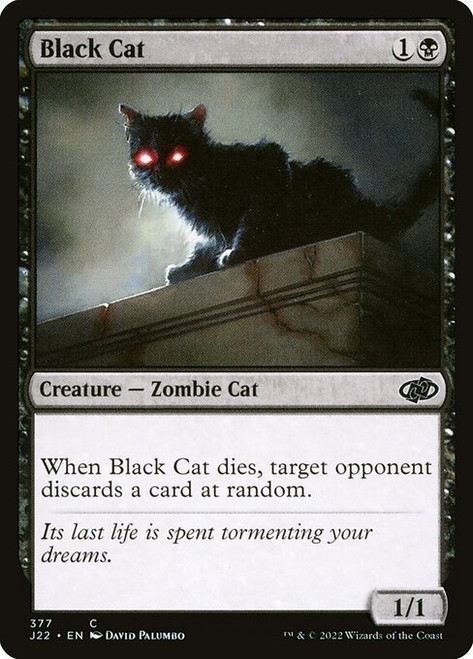 Black Cat (J22) (#377)