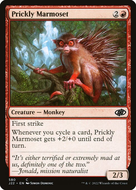 Prickly Marmoset (J22) (#580)