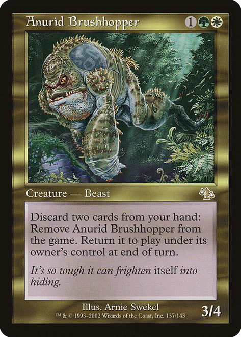Anurid Brushhopper (JUD) (#137)