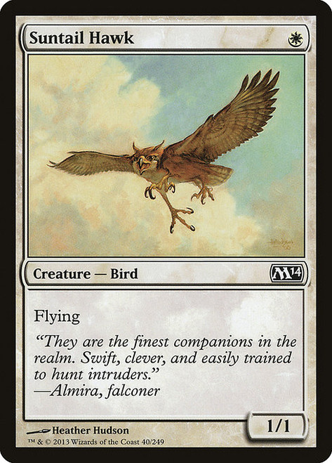 Suntail Hawk (M14) (Foil) (#40)