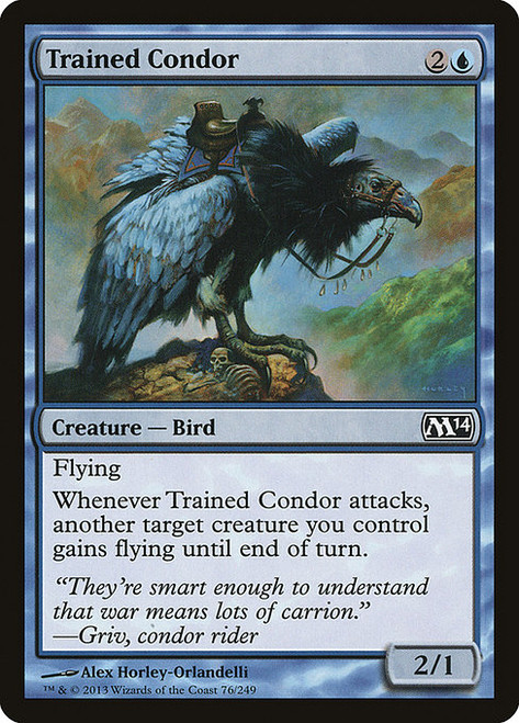 Trained Condor (M14) (#76)