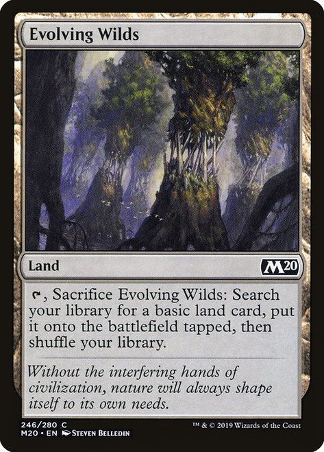 Evolving Wilds (M20) (#246)