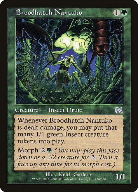Broodhatch Nantuko (ONS) (#250)