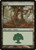 Forest (PAL05) (#5)