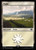 Plains (LTR) (Foil) (#262) Plains (LTR) (Foil) (#262)