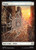 Plains (SPM) (Full Art) (#189) Plains (SPM) (Full Art) (#189)