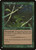 Willow Dryad (PLST) (#POR-193)