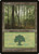 Forest (POR) (#213)