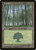 Forest (POR) (#215)